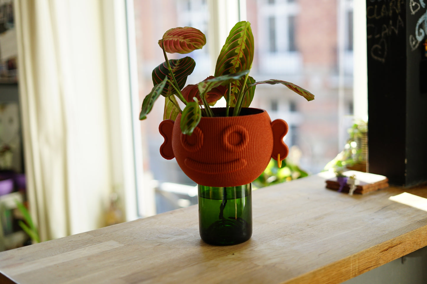 Pot de fleur autonome - Collection Capsule